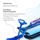 Снегокат «Тимка спорт 2+ Гонщик», ТС2+/Г - Фото 3