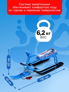 Снегокат «Тимка спорт 2+ Гонщик», ТС2+/Г - Фото 4