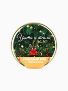 Мёд кремовый «Уюта и тепла в доме», с апельсином, 30 г - Фото 6