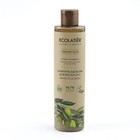 Шампунь-бальзам для волос Ecolatier Organic Olive «Мягкость & блеск, 2 в 1, 350 мл - фото 296158387