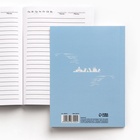 Ежедневник «Петербург», 52 листа, 10 х 14 см (комплект 2 шт) - фото 36770243