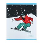 Тетрадь 48 листов в клетку "На снежном склоне" (Эксклюзив), обложка мелованный картон, блок 60 г/м2, 5 видов МИКС - фото 22952016