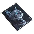 Ежедневник недатированный А6, 128 листов "Lovely cat", интегральный переплёт, ламинация софт-тач, блок 70г/м2 - фото 22942015