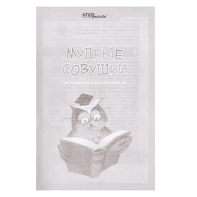 Дорожная игра «Мудрые совушки»