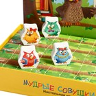 Дорожная игра «Мудрые совушки» 9950230 - фото 636937