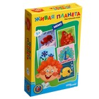 Дорожная игра «Живая планета» 9950235 - фото 7690023