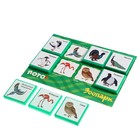 Лото «Зоопарк» - фото 22965311