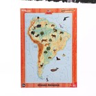 Развивающий пазл «Южная Америка» - фото 20018747