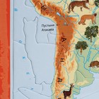 Развивающий пазл «Южная Америка» - фото 3620003