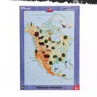 Развивающий пазл «Северная Америка» - фото 320268570