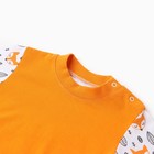 Лонгслив "Лисички", цвет морковный, рост 80 см - фото 23253634