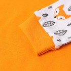 Лонгслив "Лисички", цвет морковный, рост 80 см - фото 23253636