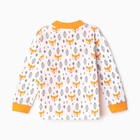 Лонгслив "Лисички", цвет морковный, рост 80 см - фото 23253637