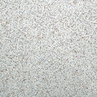 Столешница, 1500х600х26 мм, Ракушки - фото 25417632 Столешница, 1500х600х26 мм, Ракушки - фото 25417632