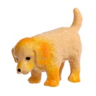 Игрушка-сюрприз «Гав-гав», МИКС - Фото 13