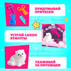 Игровой набор Happy Valley «Кошкин дом», питомец с аксессуарами, МИКС - Фото 4