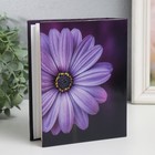 Фотоальбом "Цветочная коллекция-11" 100 фото 10х15 см МИКС - фото 22965570 Фотоальбом "Цветочная коллекция-11" 100 фото 10х15 см МИКС - фото 22965570