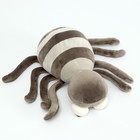 Мягкая игрушка «Паук», 27 см, цвет серый - Фото 5