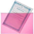 Набор папок-конвертов на ZIP-молнии A5, 180 мкм, Calligrata "Акварель", полупрозрачные, 5 штук, МИКС - фото 7537415