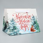 Пакет подарочный с широким дном «Новогодние чудеса», 25 × 19 × 18 см - Фото 1