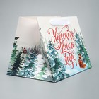 Пакет подарочный с широким дном «Новогодние чудеса», 25 × 19 × 18 см - Фото 3