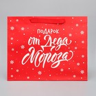 Пакет подарочный с широким дном «Подарок от Деда Мороза», 35 х 29 х 28 см, Новый год - фото 23078902