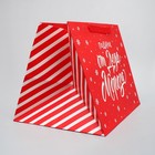 Пакет подарочный с широким дном «Подарок от Деда Мороза», 35 х 29 х 28 см, Новый год - фото 23078903