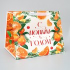 Пакет подарочный с широким дном «Мандариновое настроение», 35 х 29 х 28 см, Новый год - фото 23078911