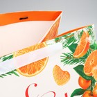 Пакет подарочный с широким дном «Мандариновое настроение», 35 х 29 х 28 см, Новый год - фото 23078913