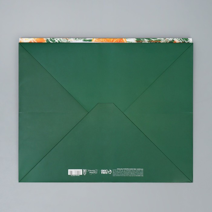 Пакет подарочный с широким дном «Мандариновое настроение», 35 × 29 × 28 см 9667719