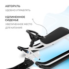 Снегокат «Тимка спорт», ТСЛ+/Б - Фото 3