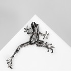 Брошь «Лягушка» ползущая, цвет чёрно-серый в сером металле - Фото 2