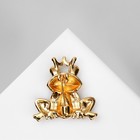 Брошь «Лягушка» королева, цветная в золоте 9626922 - фото 16849763