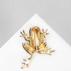 Брошь «Лягушка» с узором, цветная в золоте - Фото 2