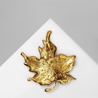 Брошь «Лист» кленовый, цвет коричневый в чернёном золоте - Фото 2