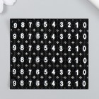 Брелок металл кожзам "Ремешок с номерным знаком" чёрный 12,5х4 см 9683958