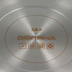 Кастрюля Доляна «Грейт», 2.8 л, индукция, нержавеющая сталь - Фото 6