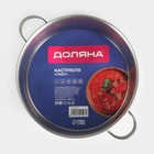 Кастрюля Доляна «Грейт», 7 л, индукция, нержавеющая сталь - Фото 7