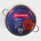 Кастрюля Доляна «Грейт», 9 л, индукция, нержавеющая сталь - Фото 7