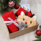 Новогодний подарочный набор «Тёплых объятий» плед и аксессуары - Фото 1