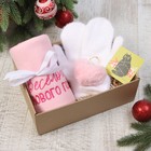 Новогодний подарочный набор «Весёлого Нового года» плед и аксессуары - Фото 1