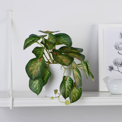 Искусственный цветок в горшке «Сингониум грин», 9×17 см