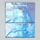 Пакет голографический «Морозко», ML 23 × 27 × 11.5 см - фото 7705868