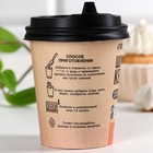 Кекс в стакане «Шоколадный», БЕЗ САХАРА, 40 г. - фото 23986995