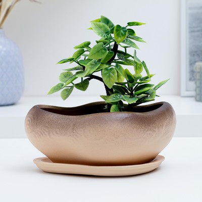 Горшок для кактусов и суккулентов «Бонсай», 600 мл, 17×14×8 см, керамический, с поддоном, бежевый