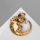 Брошь «Ящерица» игуана, цвет чёрно-зелёный в золоте - фото 24387928