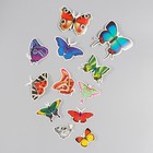 Бабочки картон "Натуральные" набор 12 шт h=4-10 см - фото 109191628