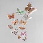 Бабочки картон "Шкуры животных" набор 12 шт h=4-10 см - фото 11193172
