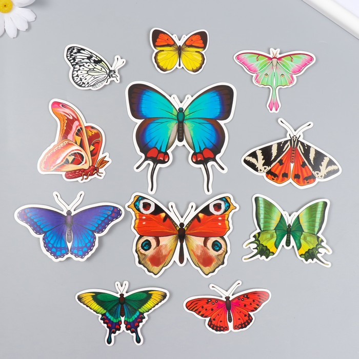 Бабочки картон "Натуральные" набор 12 шт h=4-10 см на магните - Фото 1