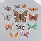 Бабочки картон "Шкуры животных" набор 12 шт h=4-10 см на магните - фото 285380006